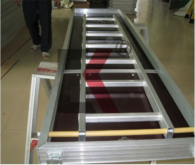 แพลงก์ตอน Alu 13