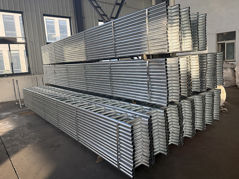 ตัวใหญ่ 4